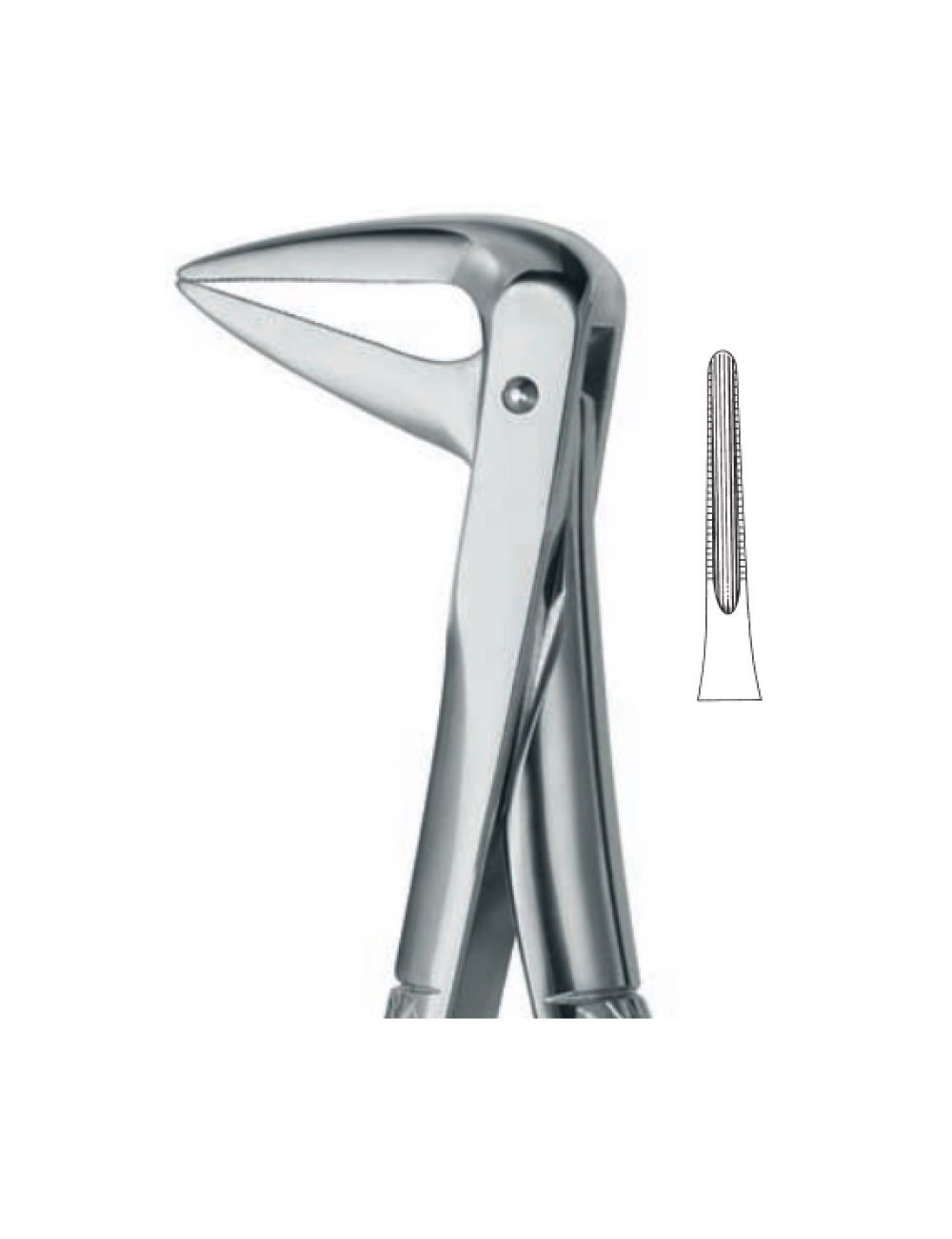 Extracting Forceps