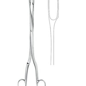Obstetrics