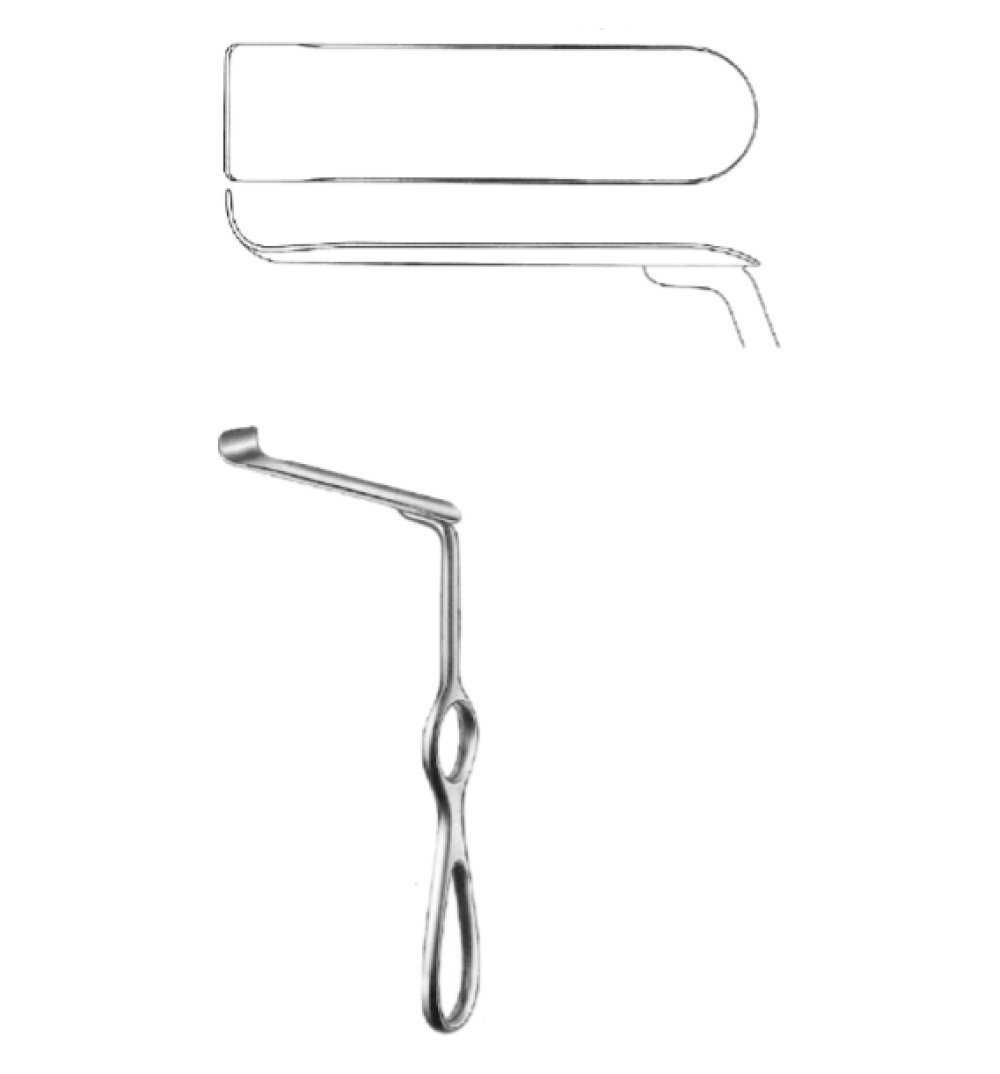 Probes, Applicators, Spatulas