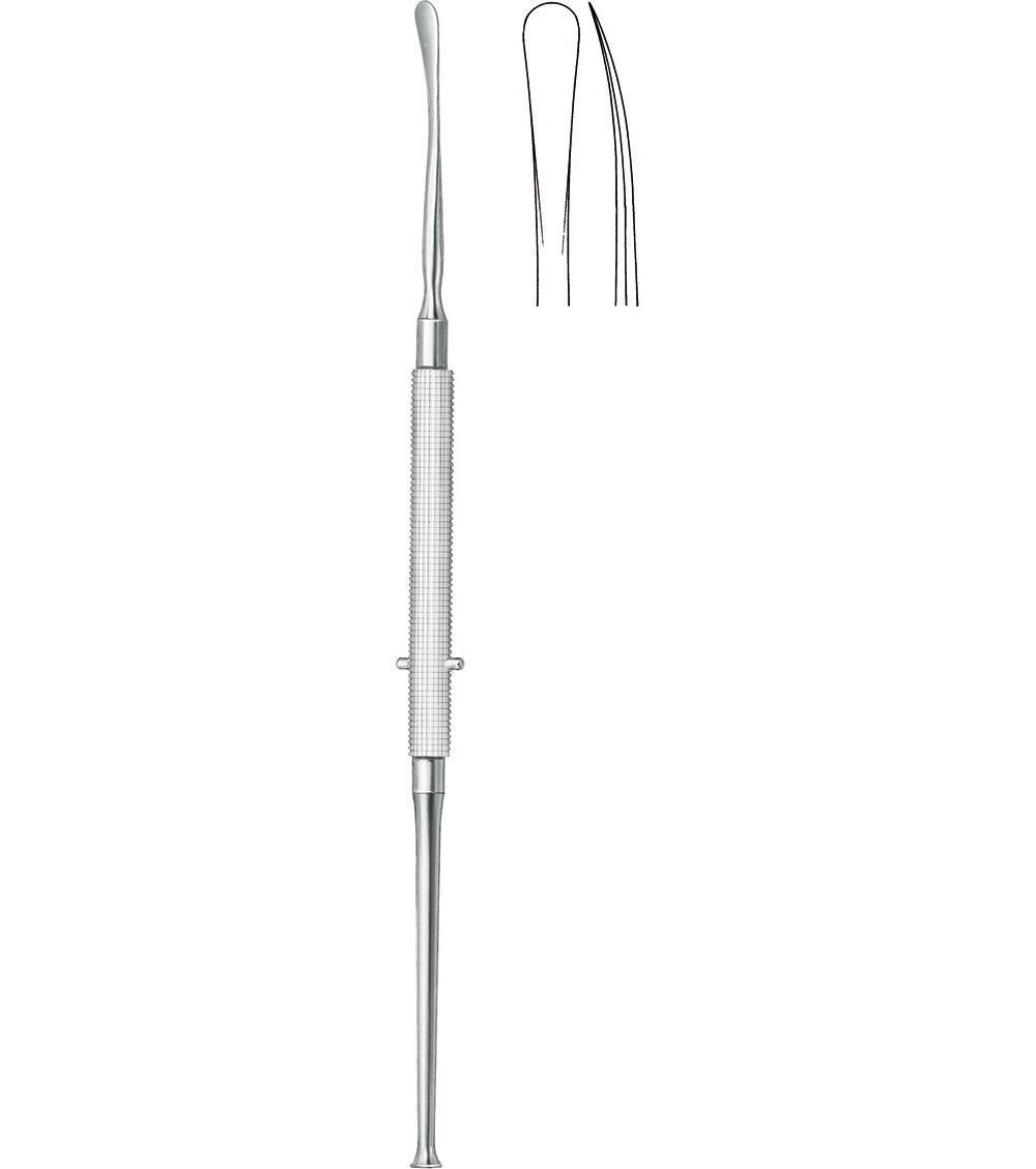 Rhinology