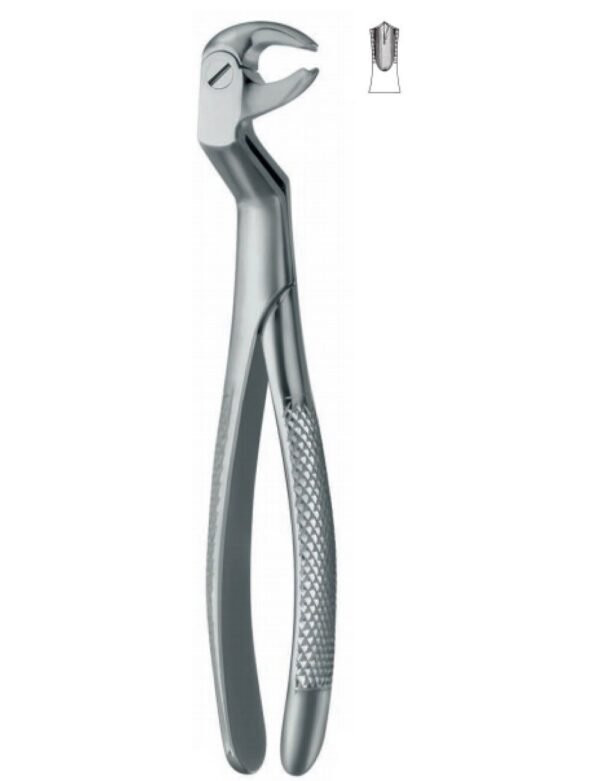 Extracting Forceps