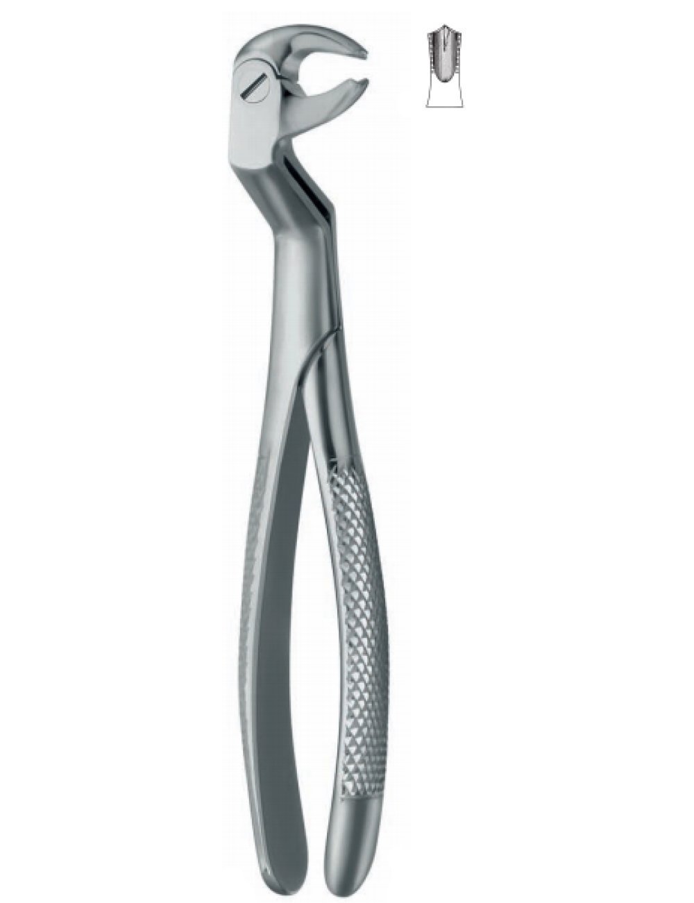 Extracting Forceps