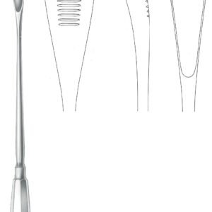 Obstetrics