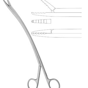 Cardiovascular  Neuro