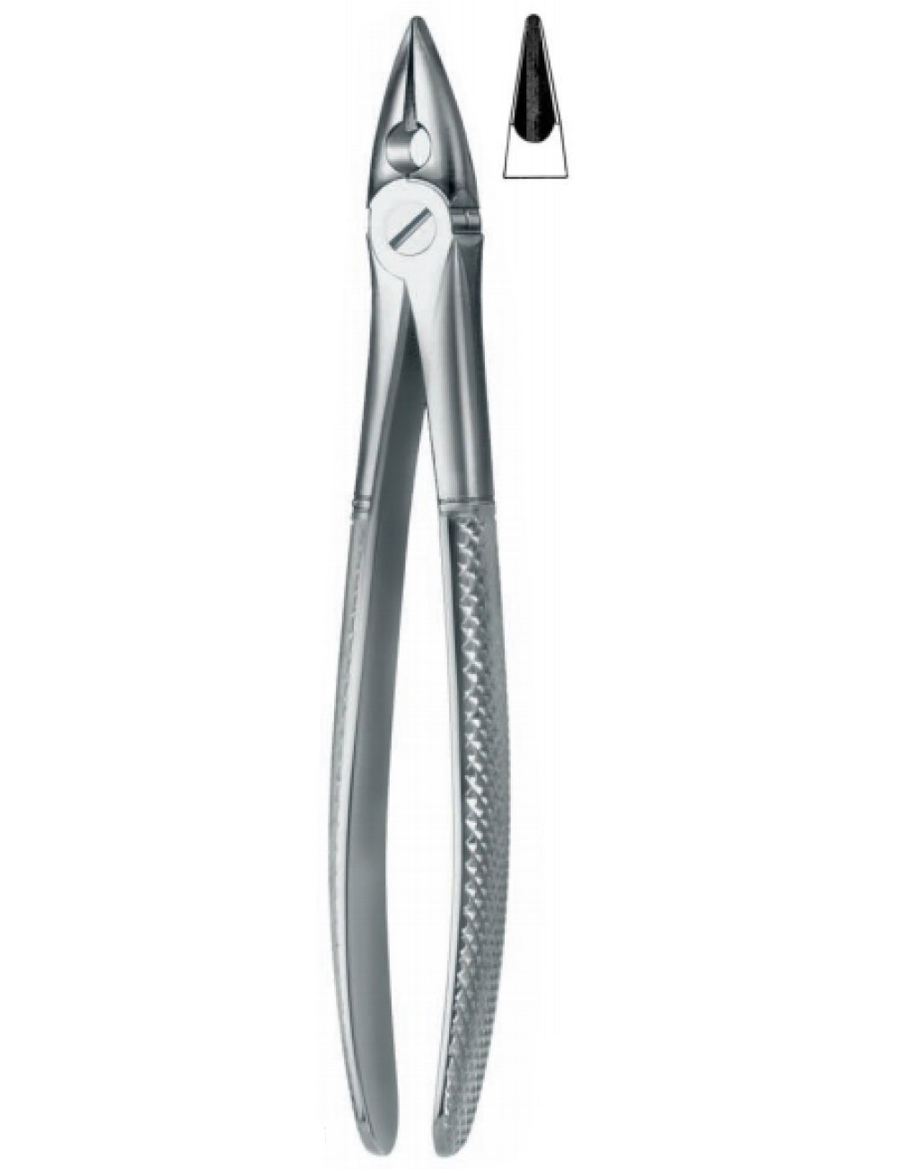 Extracting Forceps