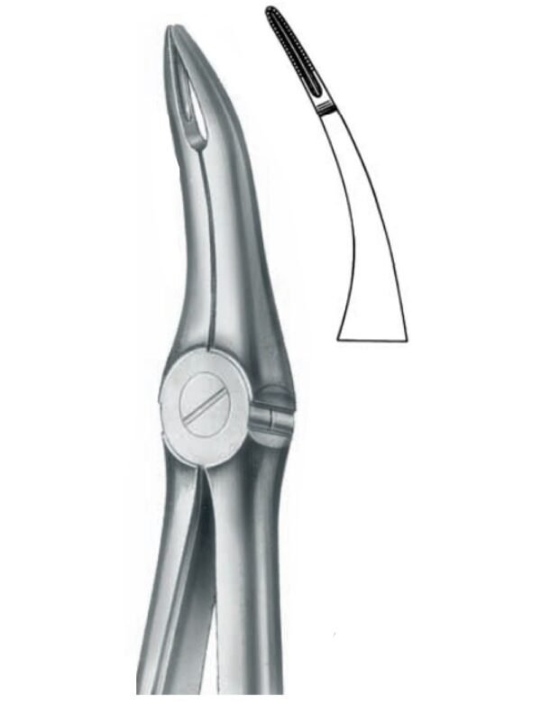 Extracting Forceps