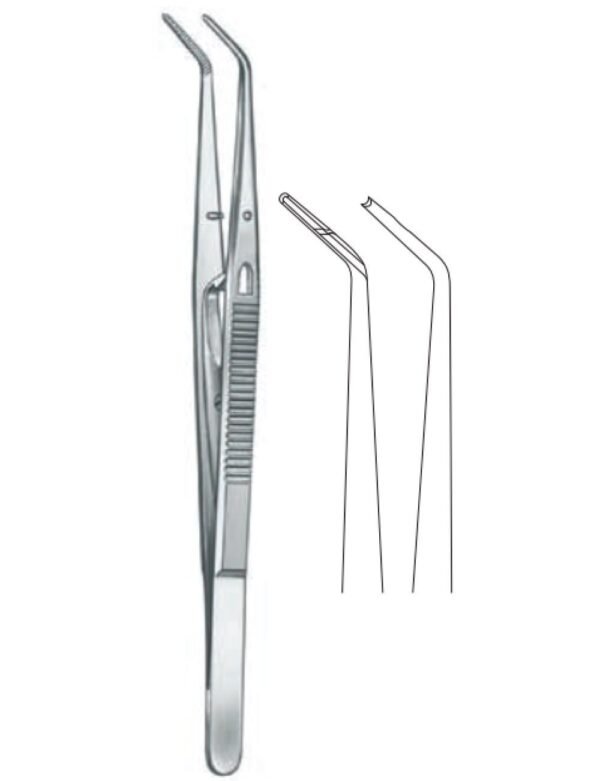 Dental And Oral Surgery