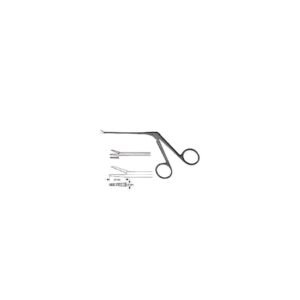 Otology