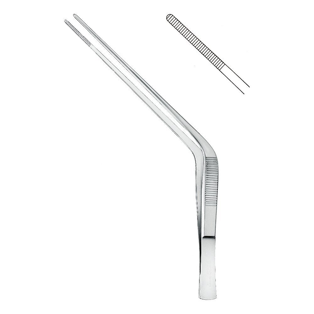 Rhinology