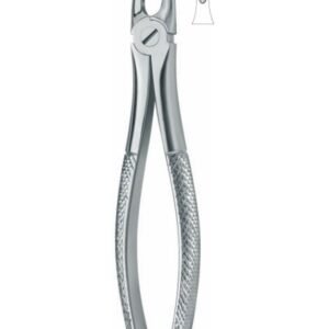 Extracting Forceps
