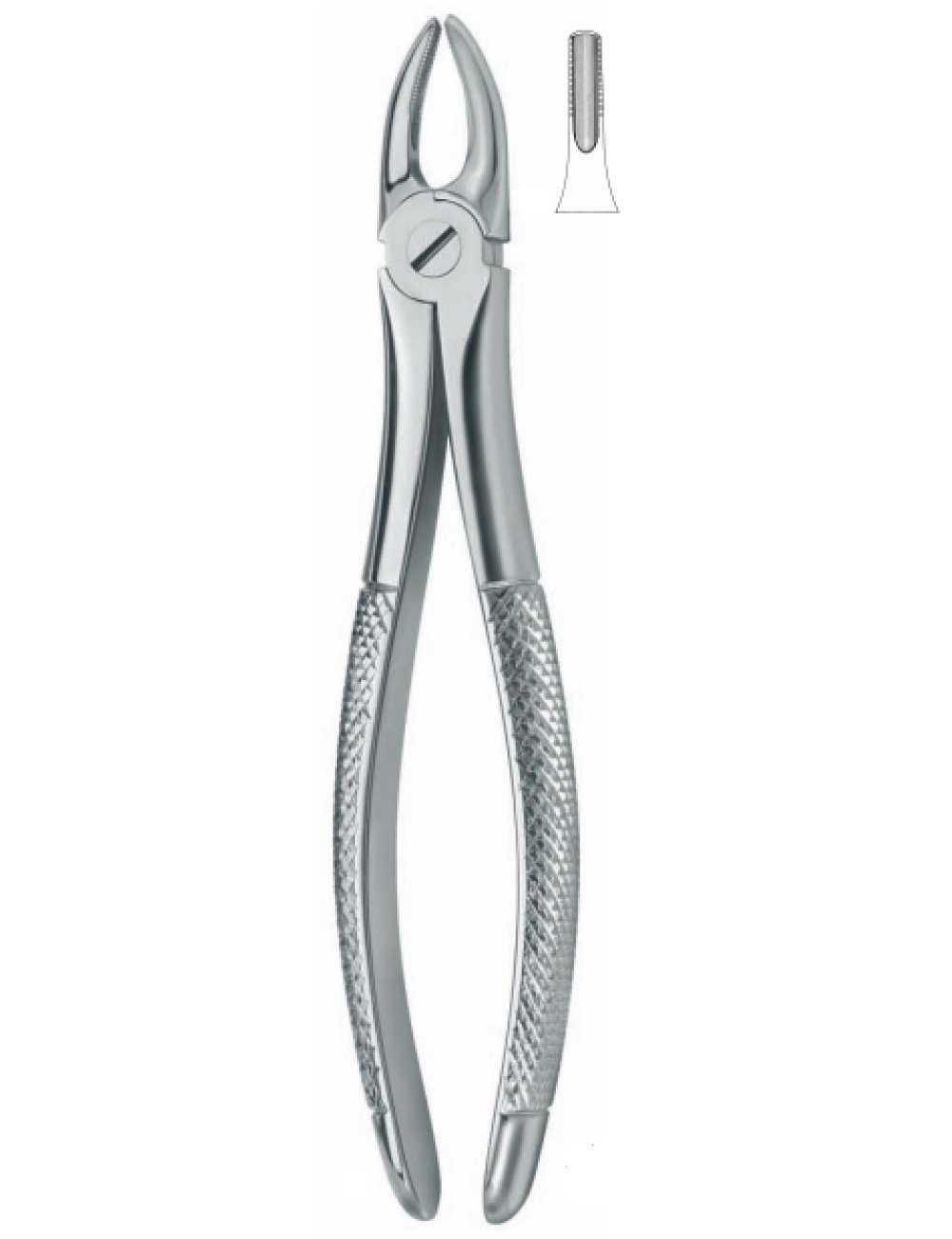 Extracting Forceps