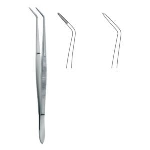 Dental And Oral Surgery