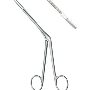 Rhinology