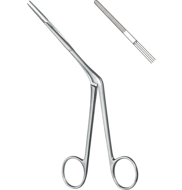 Rhinology
