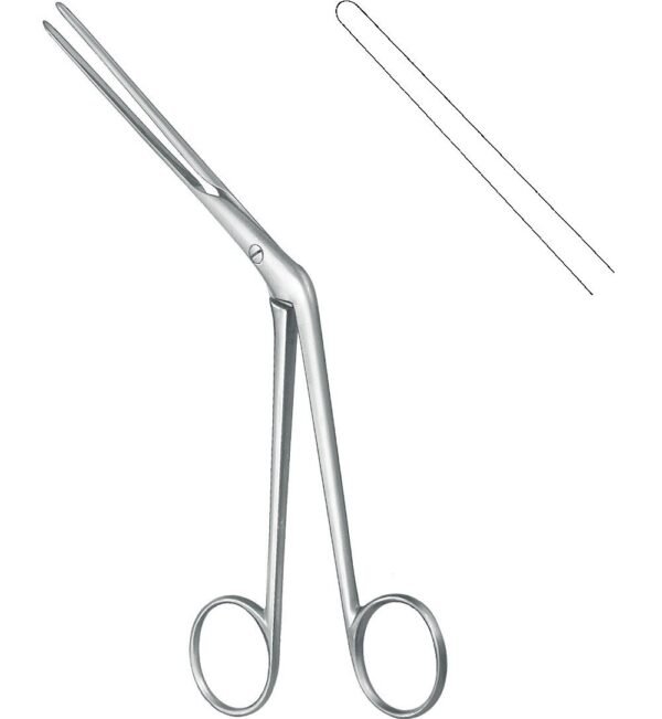 Rhinology