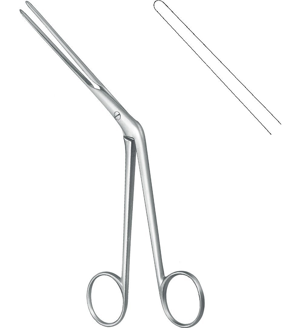 Rhinology