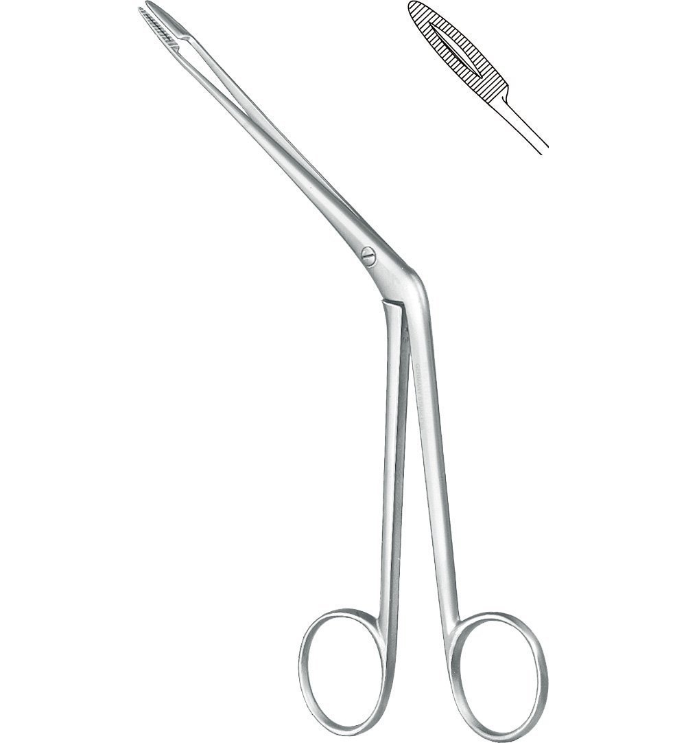 Rhinology