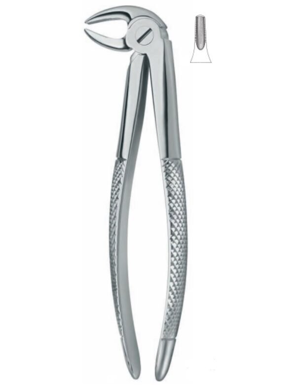 Extracting Forceps
