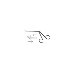 Otology