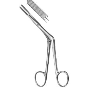 Rhinology