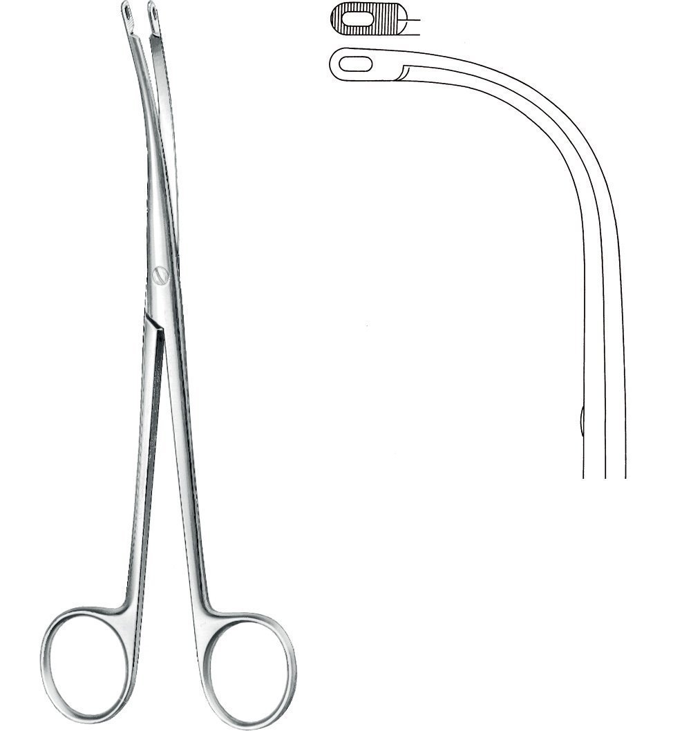 Urology