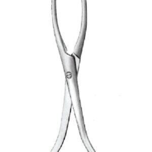 Oral Maxillo-Facial Surgery
