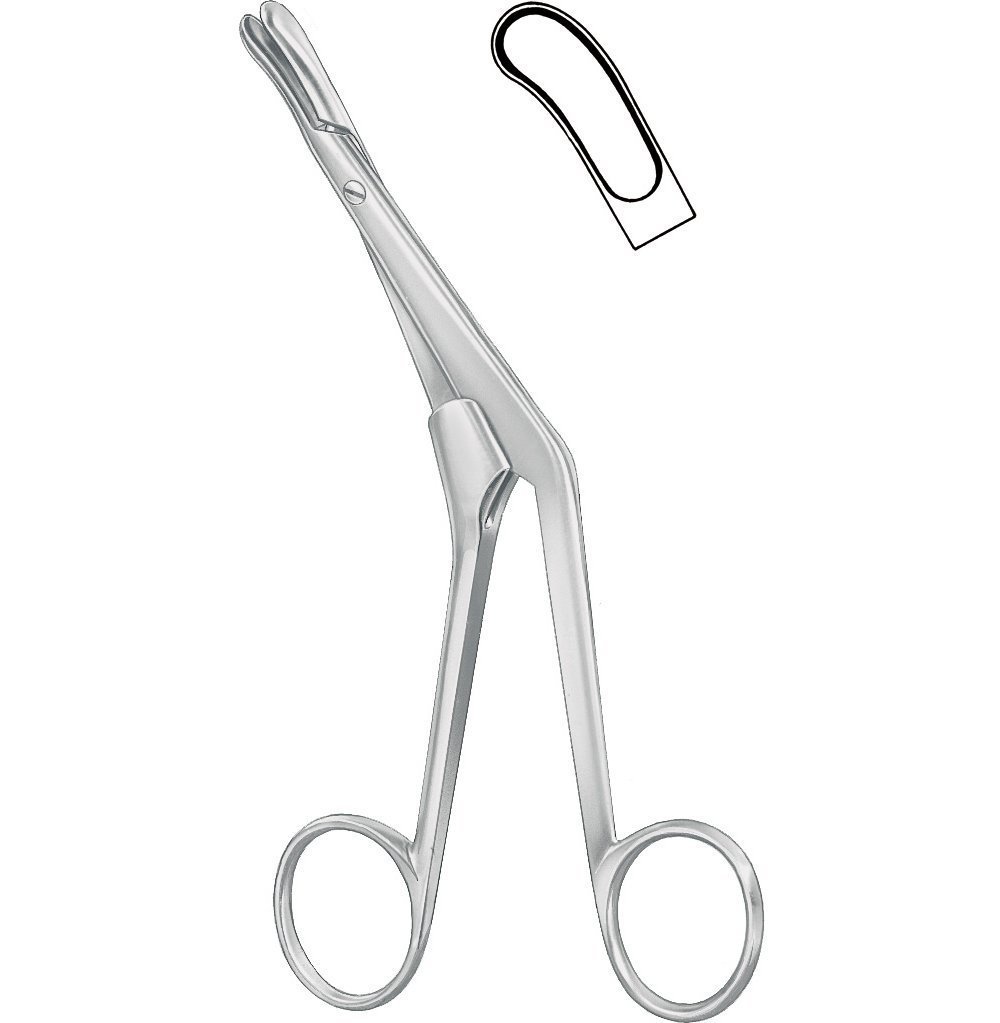 Rhinology