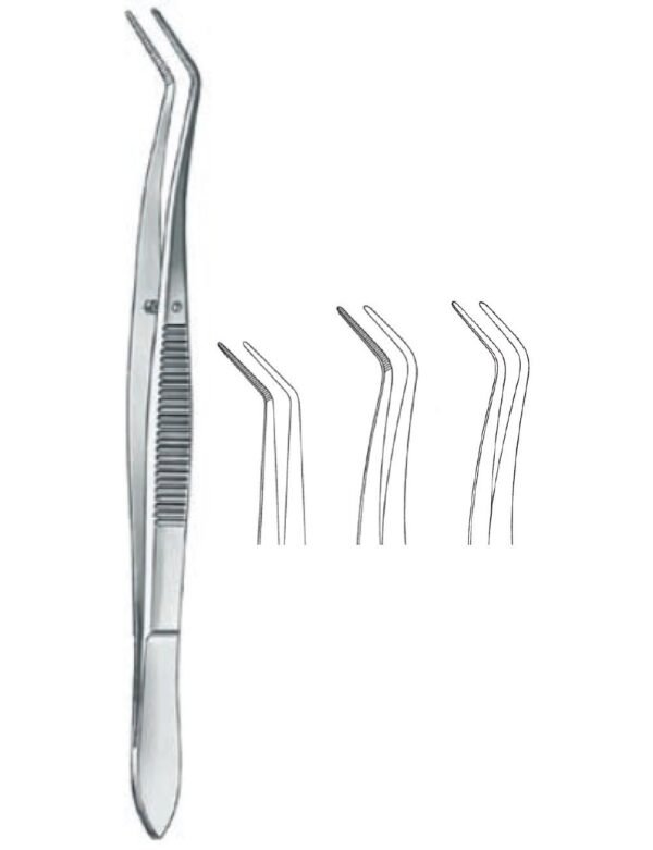 Dental And Oral Surgery