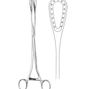 Obstetrics