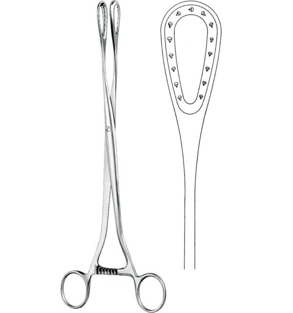 Obstetrics